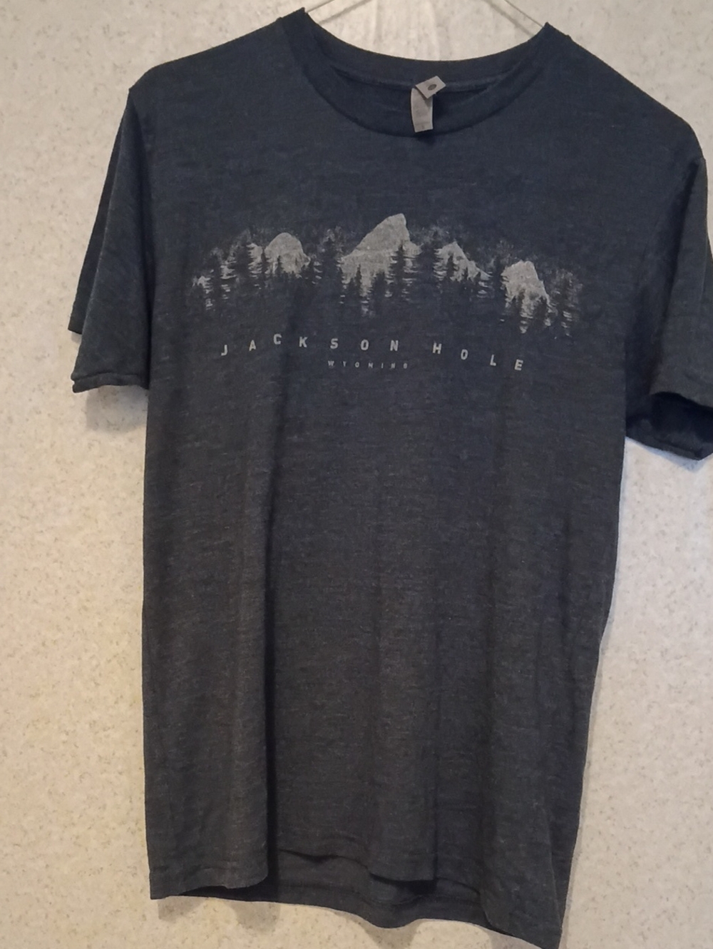 Next Level Apparel Charcoal Mountain & Trees Graphic Tee